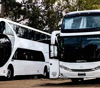 Buses ejecutivos blancos, unidades doble piso para traslados corporativos y turismo.